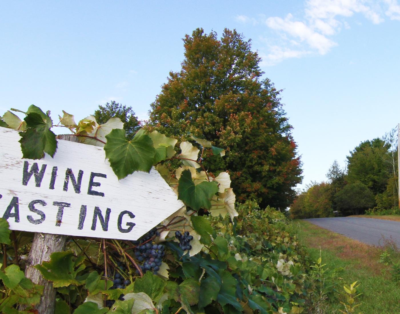 adirondack wine tour